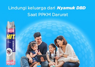 Aman & Nyaman Di Rumah Tanpa Nyamuk Demam Berdarah Dengan HIT Expert